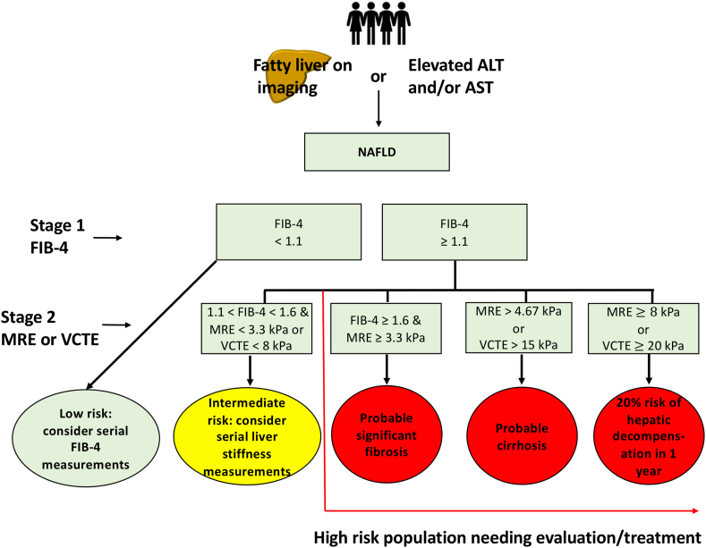 Algorithm for sequential use of FIB-4 and VCTE/MRE for fibrosis risk stratification in NAFLD/MASLD