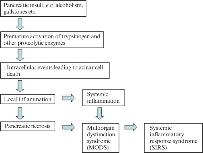 Flowchart showing the cascade of events in the development of severe acute pancreatitis from local inflammation to systemic inflammatory response