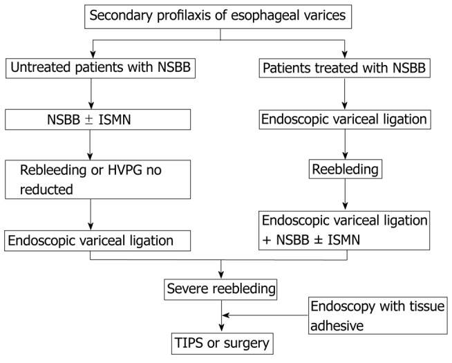 Algorithm for secondary prophylaxis of esophageal varices showing combination of NSBB plus EVL and role of TIPS