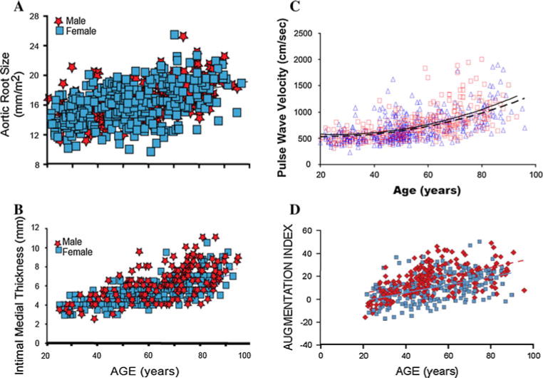 Graphs from the Baltimore Longitudinal Study of Aging showing age-related changes in aortic root diameter, carotid intimal-medial thickness, pulse wave velocity, and augmentation index