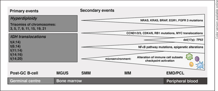 Molecular pathogenesis and clonal evolution of multiple myeloma from MGUS to relapsed disease