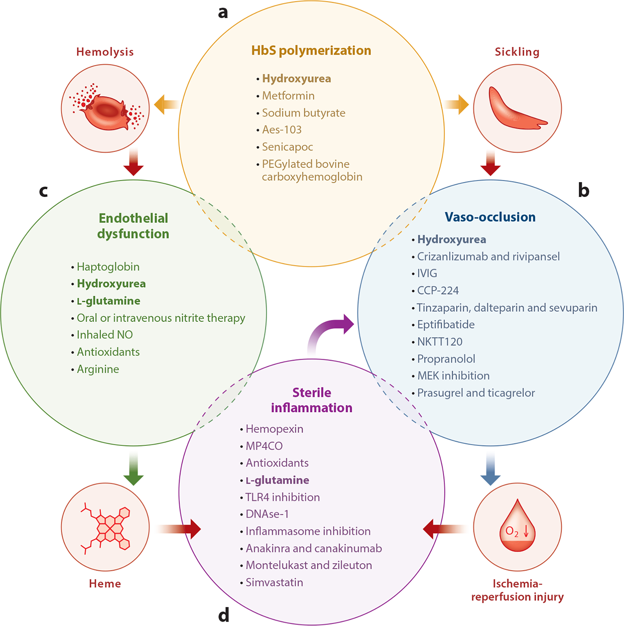 Current and emerging therapies for sickle cell disease targeting different pathological mechanisms
