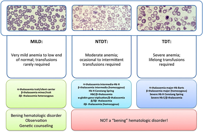 Classification of alpha and beta thalassemia types and their clinical severity