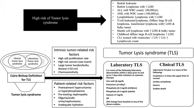 Risk stratification and diagnostic criteria for hematologic emergencies
