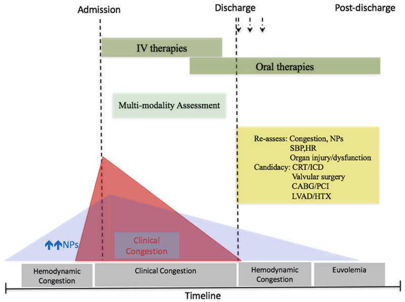 Congestion timeline with associated therapeutic recommendations for heart failure