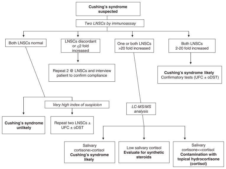 Diagram of the adrenal cortex zones and their hormone products