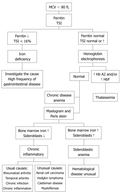 Diagnostic algorithm for evaluation of microcytic anemia