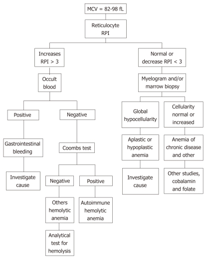 Diagnostic algorithm for evaluation of normocytic anemia
