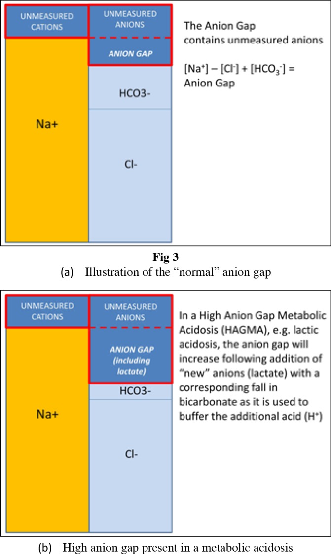 Diagram comparing normal anion gap and elevated anion gap in metabolic acidosis
