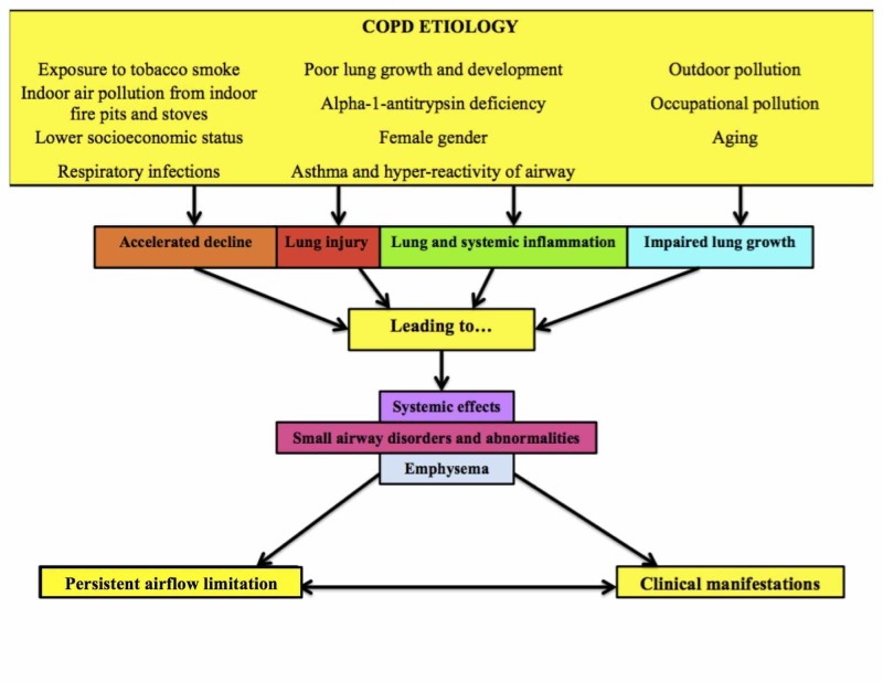 Diagram showing the development and natural history of COPD