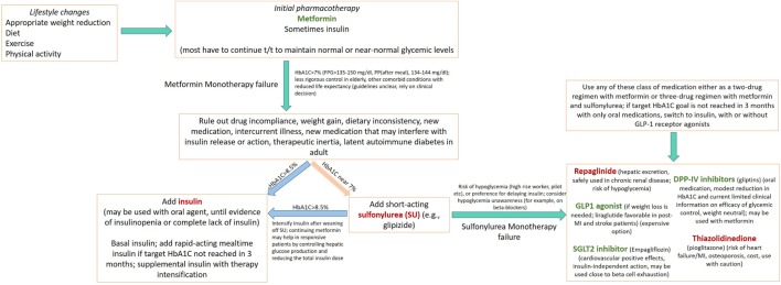 Algorithm for pharmacotherapy of type 2 diabetes mellitus