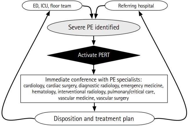 Pulmonary embolism diagnostic and management algorithm using PERT approach