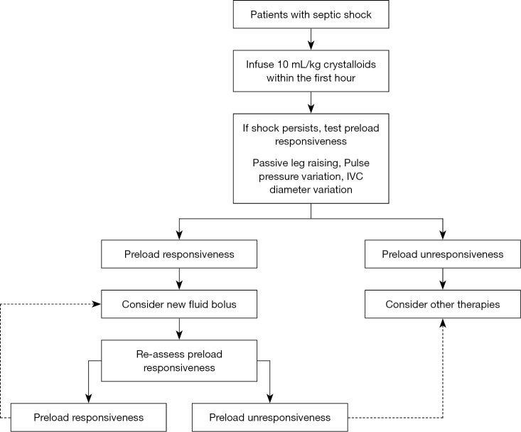 Algorithm for fluid management in early septic shock