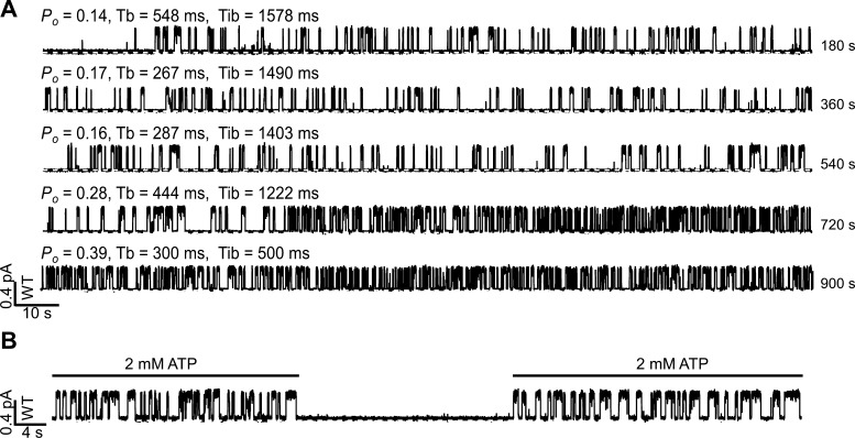 Diagram showing CFTR channel gating mechanism with ATP binding and hydrolysis at nucleotide-binding domains
