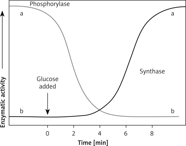 Diagram comparing glycogen phosphorylase and synthase enzymatic activities and their hormonal regulation