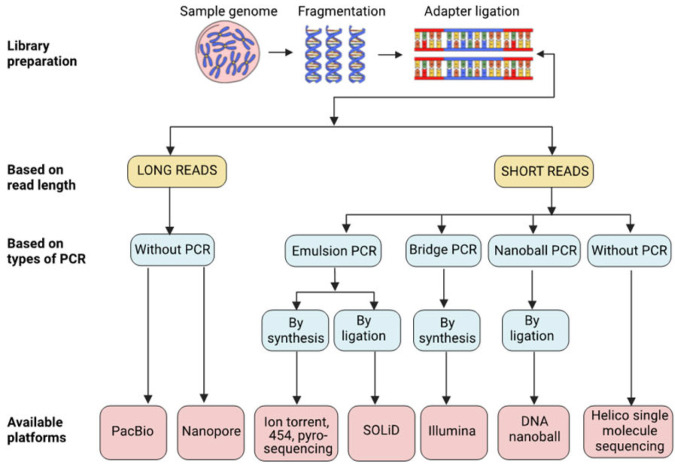 Overview of various next-generation sequencing technologies and platforms including Illumina, Ion Torrent, PacBio, and Oxford Nanopore