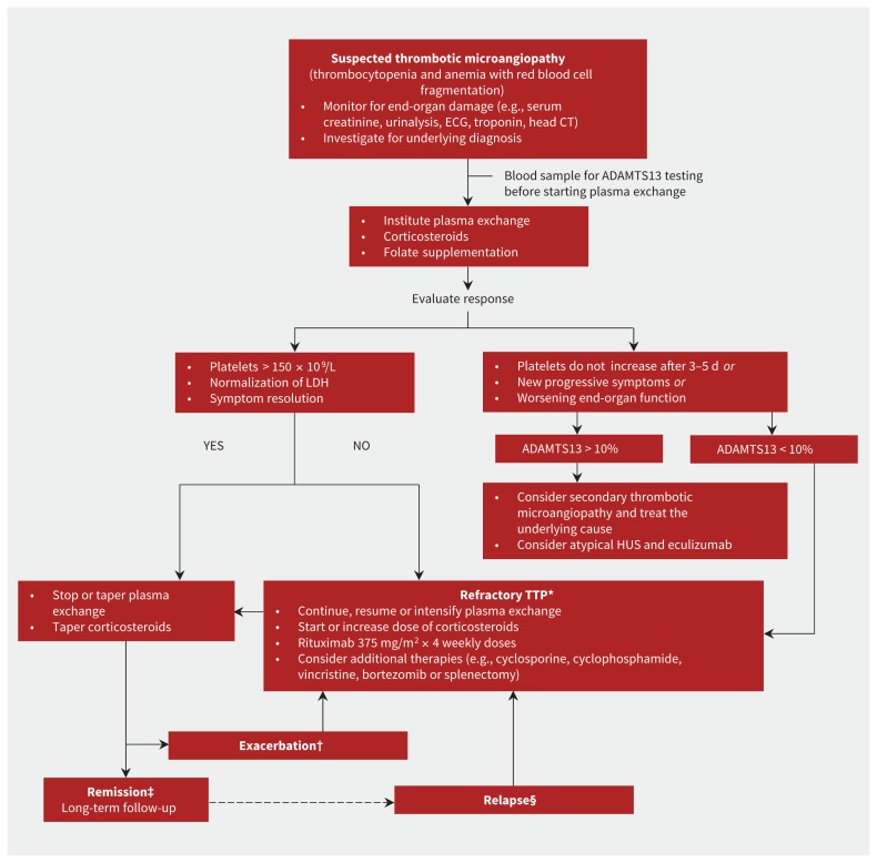 Diagnostic and treatment algorithm for thrombotic microangiopathies including TTP, HUS, and aHUS