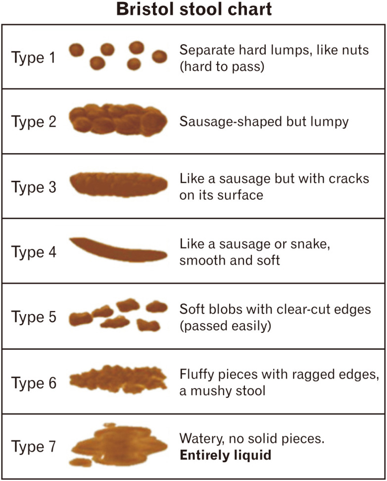 Bristol Stool Chart showing seven types of stool forms from hard lumps to watery