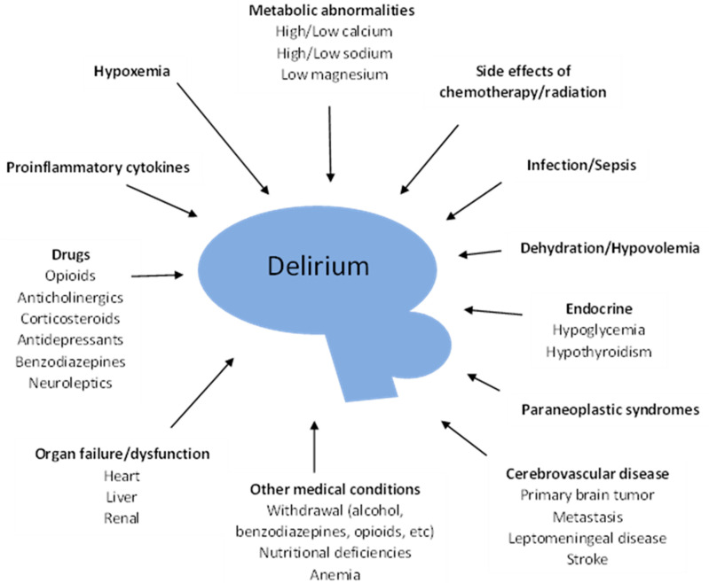 Diagram showing factors associated with delirium in cancer patients including medications, metabolic derangements, and infections