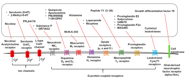 Schematic of emetic ligands acting on cell membrane receptors including ion channels and G-protein coupled receptors