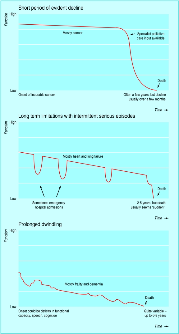 Three typical illness trajectories showing functional decline patterns for cancer, organ failure, and frailty/dementia
