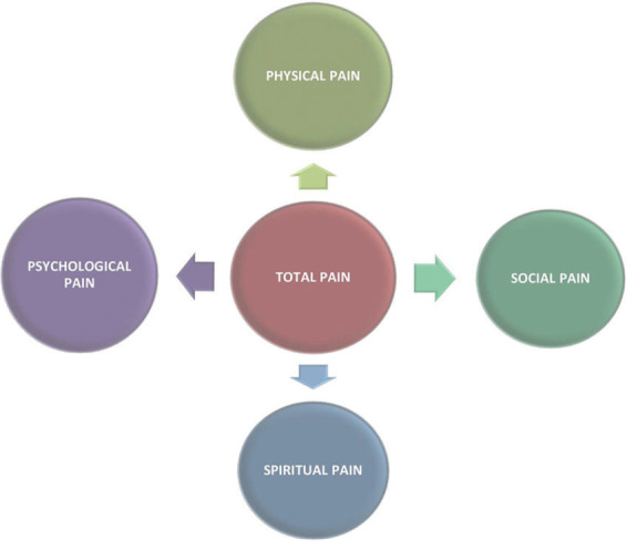 Conceptual model of total pain showing physical, psychological, social, and spiritual domains