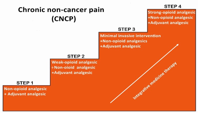 Revised WHO analgesic ladder showing four steps of pain management from non-opioids to strong opioids and interventional techniques