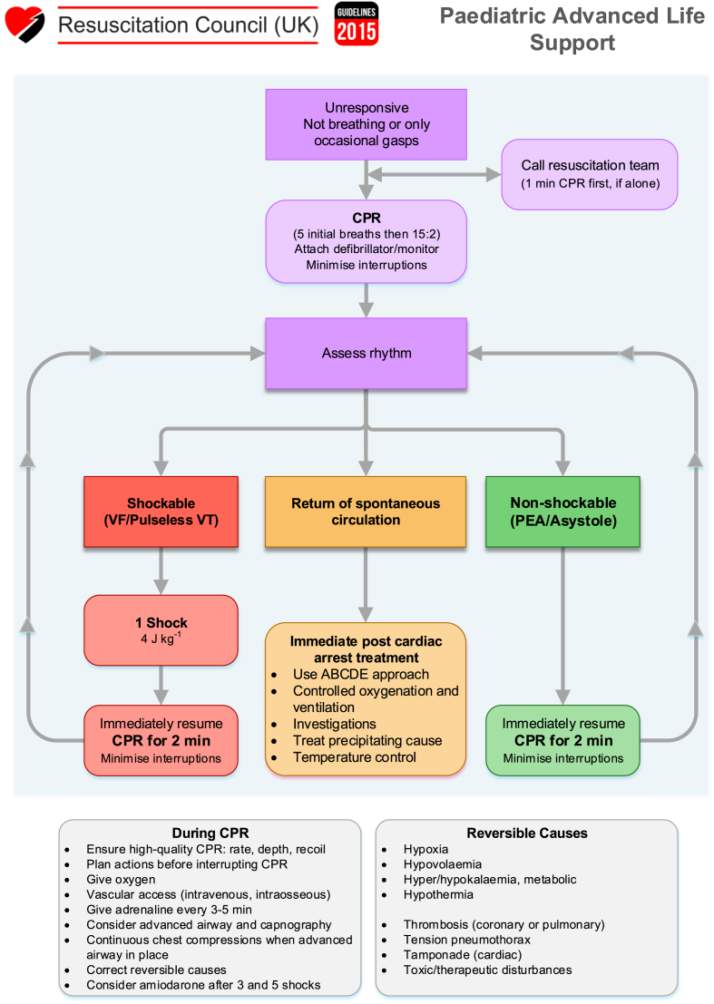 Flowchart algorithm for pediatric advanced life support showing shockable and non-shockable rhythm management