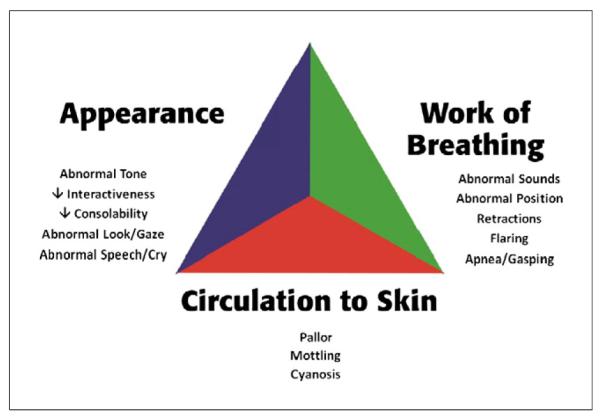 Pediatric Assessment Triangle diagram showing three components: Appearance, Work of Breathing, and Circulation to Skin