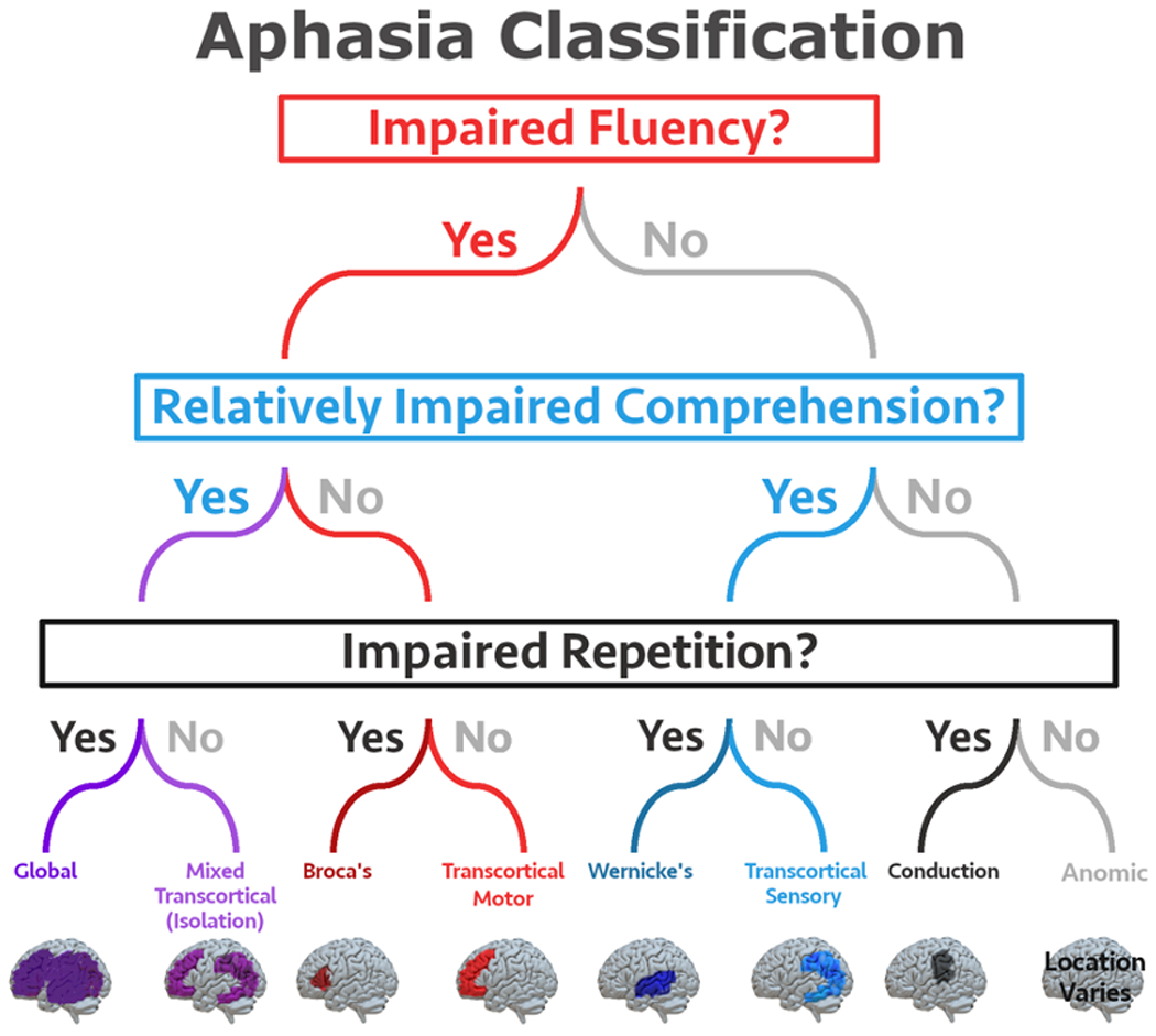 Aphasia classification diagram showing the eight subtypes defined by the Boston neoclassical system with corresponding brain lesion locations