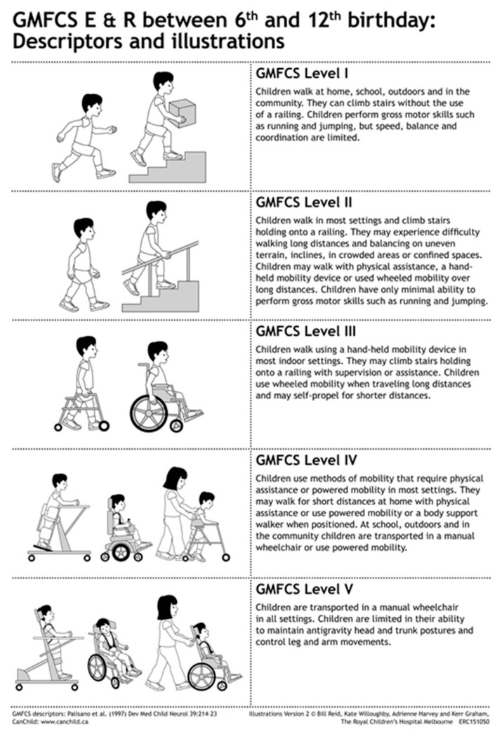 GMFCS Expanded and Revised classification showing five levels of gross motor function in children with cerebral palsy ages 6-12 years
