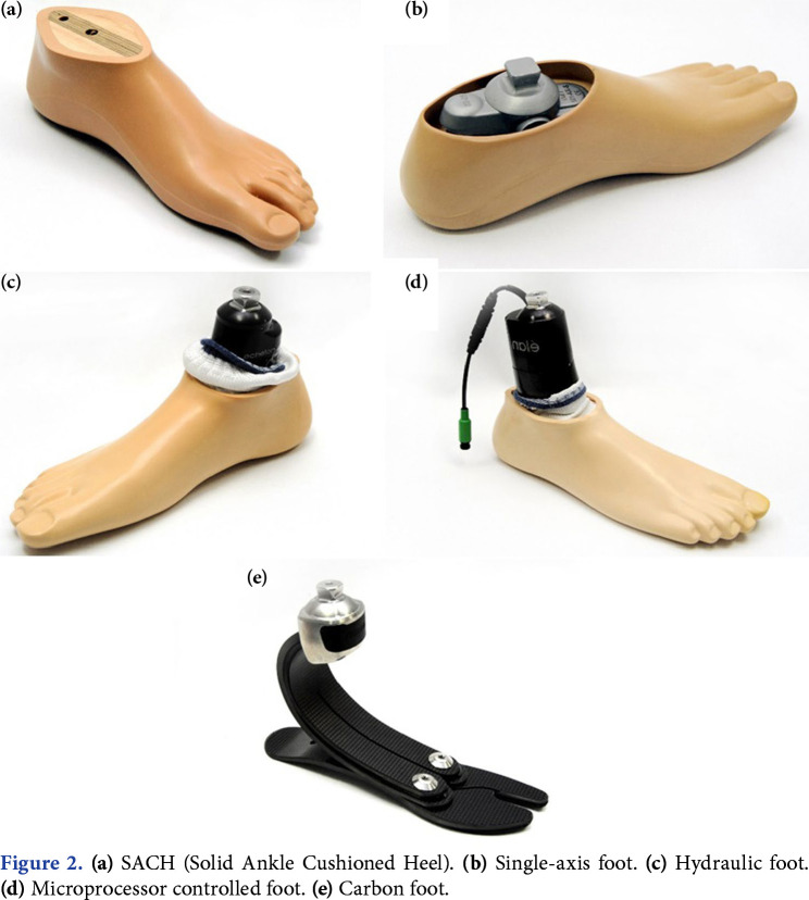 Comparison of prosthetic foot types including SACH, single-axis, hydraulic, microprocessor, and carbon fiber energy-storing designs