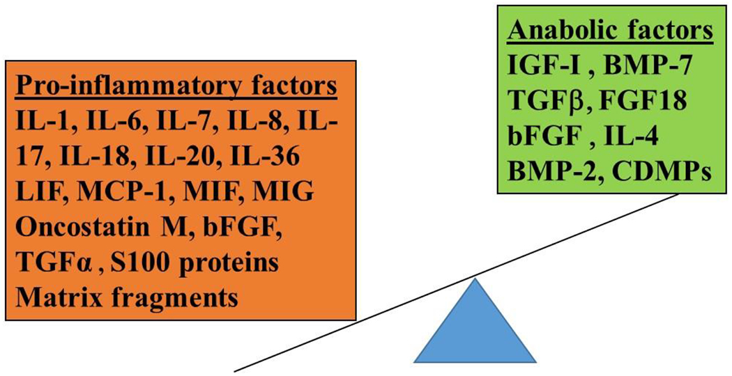 Diagram showing the molecular mediators and pathogenic pathways in osteoarthritis including cartilage degradation, subchondral bone remodeling, and synovial inflammation