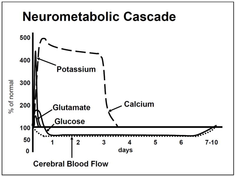 Time course diagram of the neurometabolic cascade following concussion showing ionic flux, energy crisis, and recovery phases