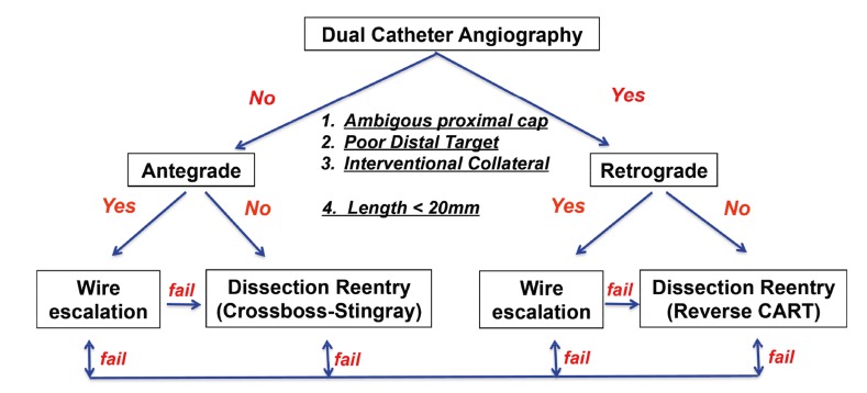 Hybrid algorithm for CTO PCI showing decision tree for antegrade wire escalation, dissection re-entry, and retrograde approaches