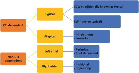 Focal atrial tachycardia P-wave morphology algorithm for localizing origin site