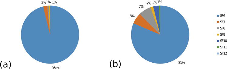 Hypertrophic cardiomyopathy sudden cardiac death risk stratification factors and ICD decision algorithm