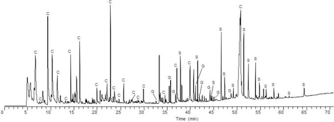 Sinus node dysfunction spectrum including sinus bradycardia sinus arrest and tachy-brady syndrome ECG patterns
