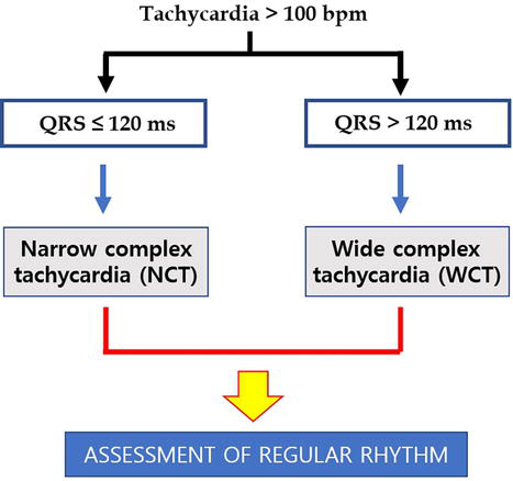 Narrow complex tachycardia differential diagnosis algorithm flowchart