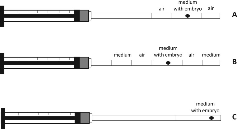 Embryo transfer catheter loading technique showing embryo aspiration between air bubbles in culture medium