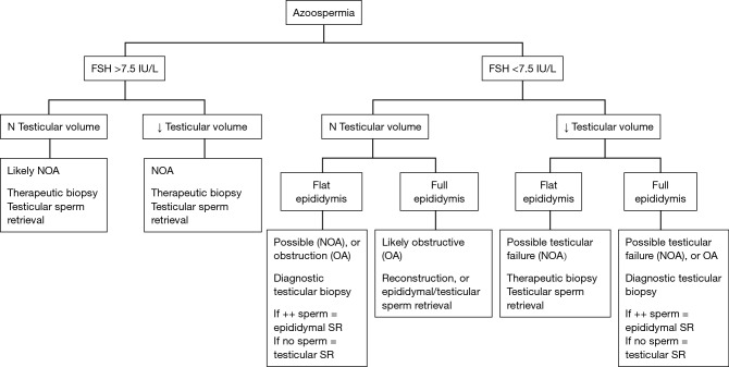 Clinical decision algorithm for surgical sperm retrieval showing indications for TESA, TESE, micro-TESE, and MESA