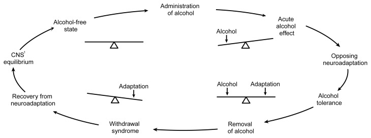 Seesaw model of alcohol withdrawal neurochemistry showing GABA-glutamate imbalance