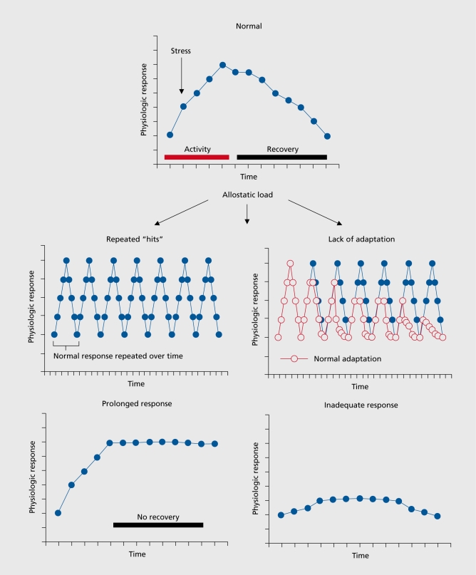 Diagram illustrating four types of allostatic load including repeated stress hits, lack of adaptation, prolonged response, and inadequate response with compensatory hyperactivity