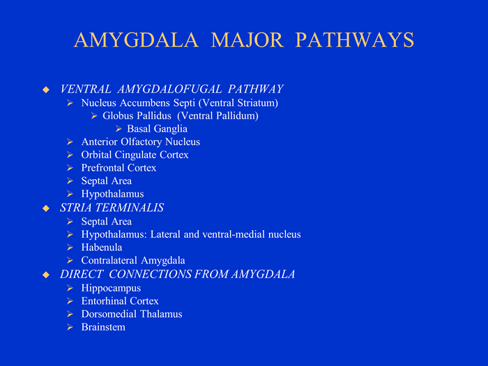 Amygdala fear conditioning pathways showing the thalamo-amygdalar low road and thalamo-cortical-amygdalar high road