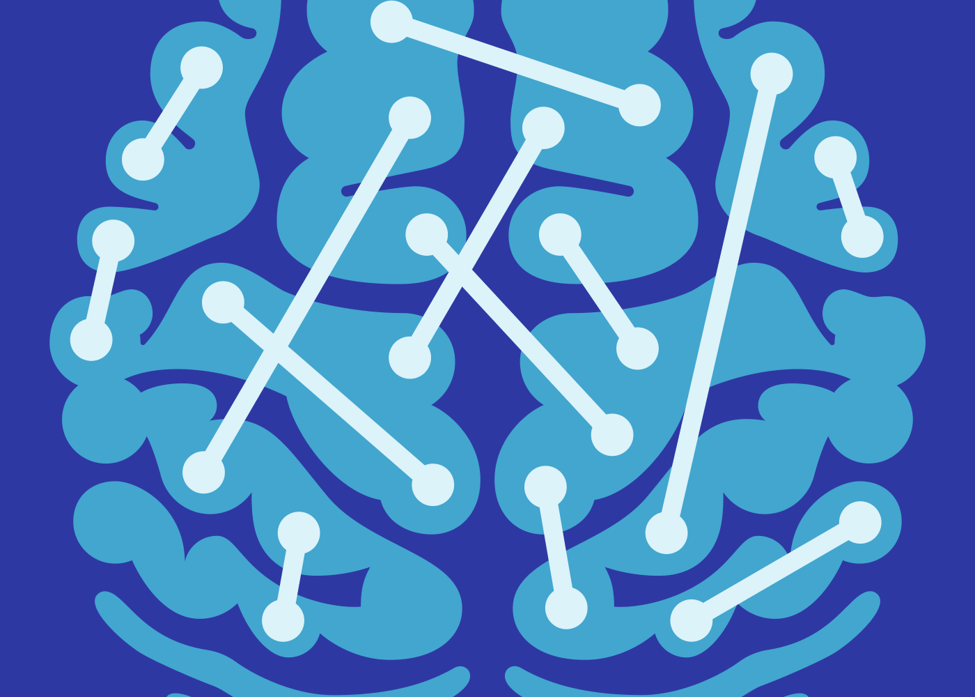 Brain connectivity alterations in autism spectrum disorder showing reduced long-range and increased local connectivity patterns