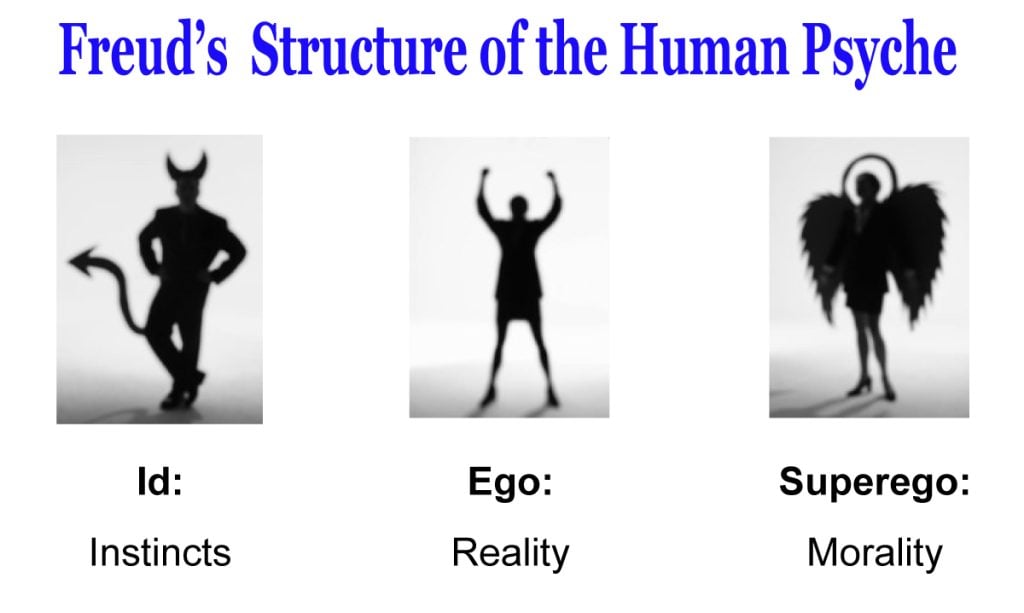 Biopsychosocial model showing the interplay of biological, psychological, and social dimensions in health and illness