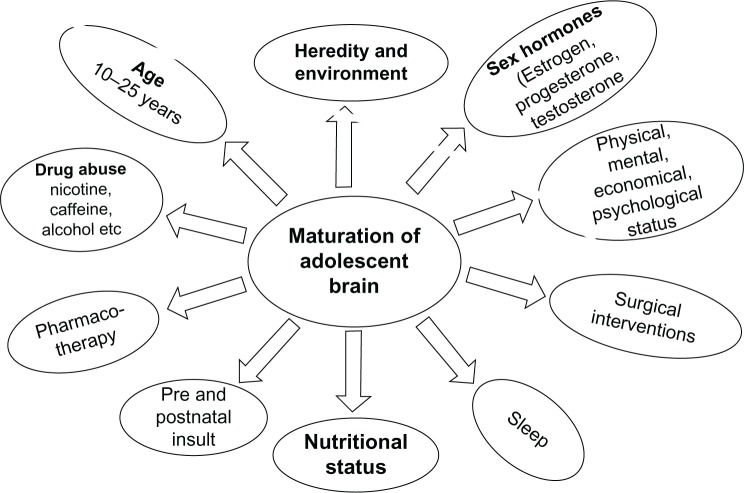 Factors influencing brain maturation during child and adolescent development, including genetic, environmental, and nutritional influences