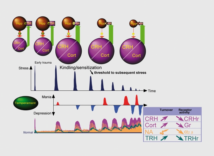 Diagram illustrating the kindling and sensitization hypothesis of depression showing how repeated episodes lower the threshold for future episodes through HPA axis dysregulation and neuroplasticity changes