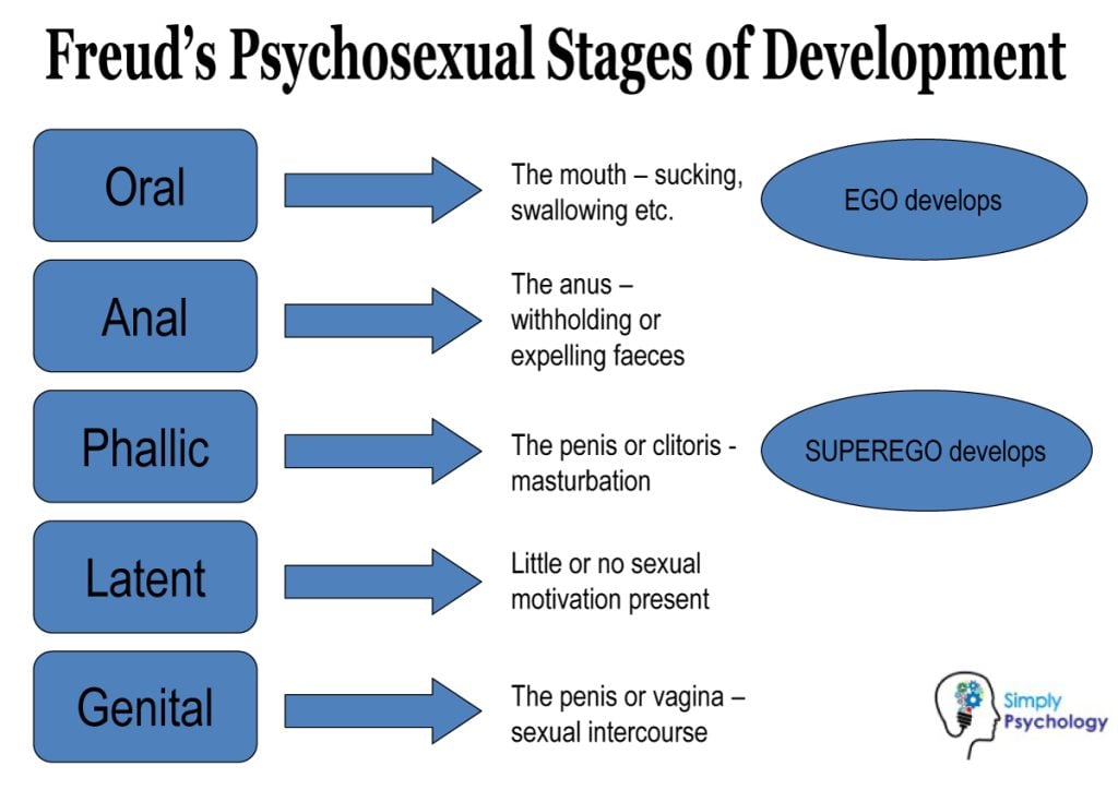 Freud's five psychosexual stages of development: oral, anal, phallic, latency, and genital with associated ages and characteristics