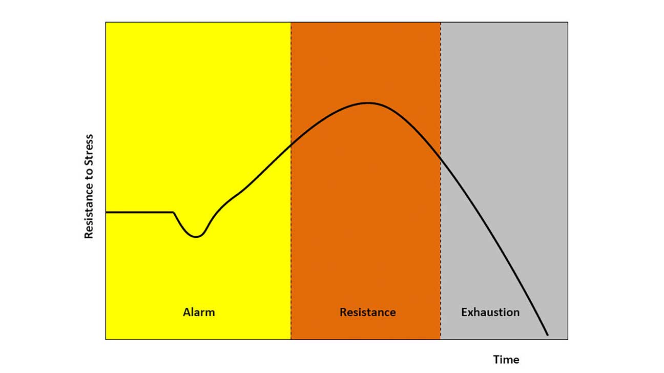 Selye's General Adaptation Syndrome showing the three stages: alarm, resistance, and exhaustion